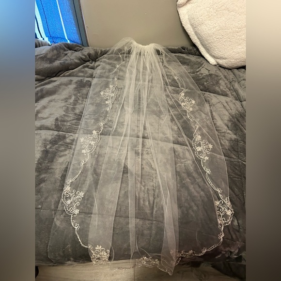 Beautiful vail, amazing beading detail! - Picture 1 of 2